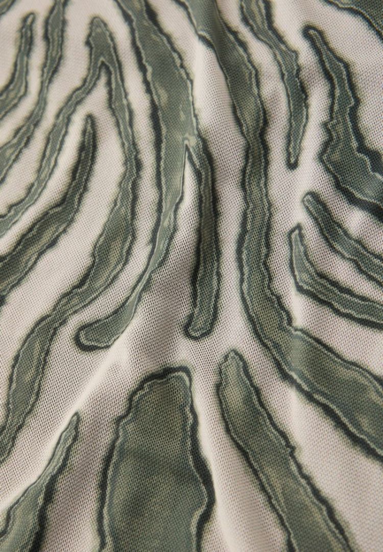  36636 Lichen Gr