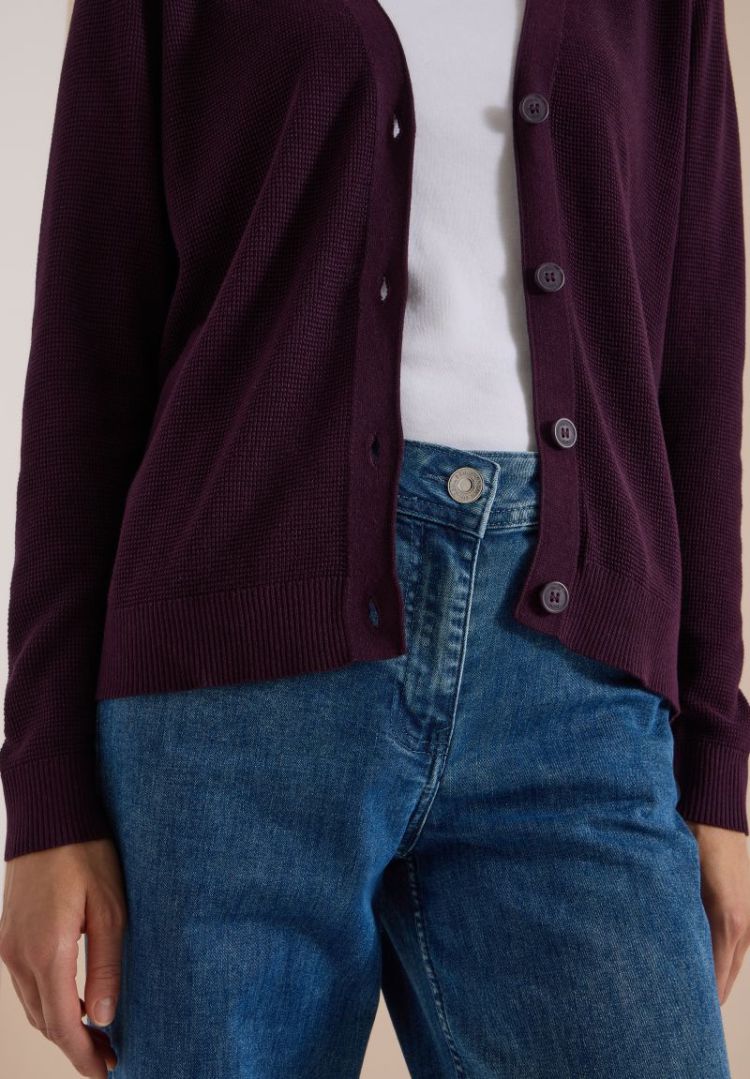  16855 eggplant
